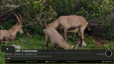 orf.png (1.4 MiB) 5646 mal betrachtet orf.png